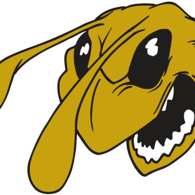 AR5 BEE 26 RQC Thumbnail